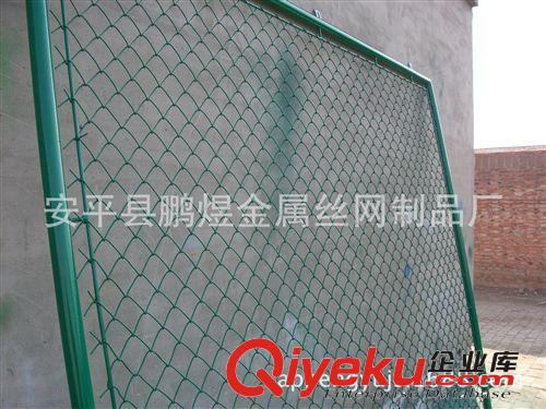 廠(chǎng)家提供 體育場(chǎng)圍網(wǎng)專(zhuān)用勾花網(wǎng)，勾花護(hù)欄網(wǎng)及售后安裝服務(wù)