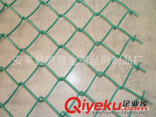 廠(chǎng)家提供 體育場(chǎng)圍網(wǎng)專(zhuān)用勾花網(wǎng)，勾花護(hù)欄網(wǎng)及售后安裝服務(wù)