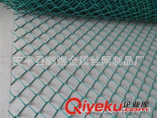 廠(chǎng)家提供 體育場(chǎng)圍網(wǎng)專(zhuān)用勾花網(wǎng)，勾花護(hù)欄網(wǎng)及售后安裝服務(wù)