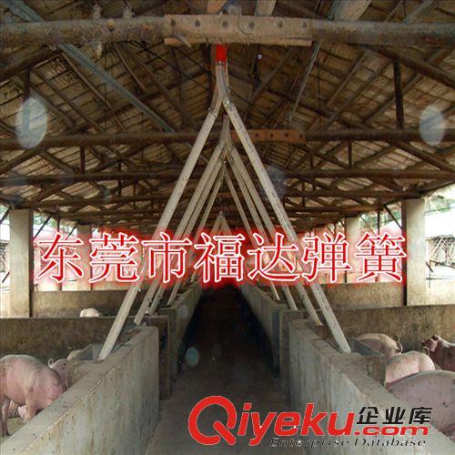 【供應】自動輸送料線|肉豬喂料料線|肉鴨自動喂料料線—農(nóng)戶型