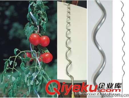 供應(yīng)番茄架，花架，豆角架原始圖片2