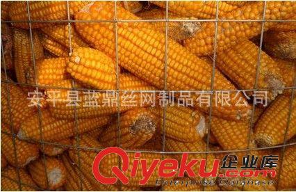 厂家直销圈玉米电焊网网、玉米储存铁丝网、焊接圈玉米网