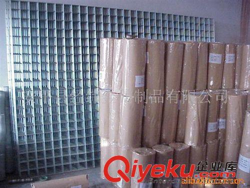 河北安平供應電焊網-鐵絲電焊網-不銹鋼絲電焊網-建筑用電焊網