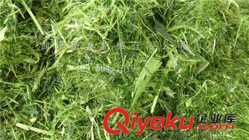 玉米秸稈加工羊飼料,玉米秸稈利用新技術(shù)介紹