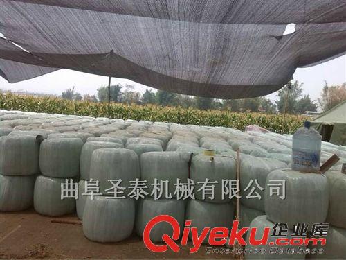 玉米秸稈加工羊飼料,玉米秸稈利用新技術(shù)介紹