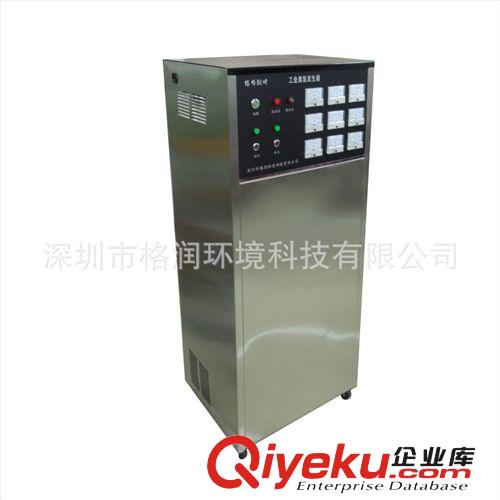 電解法高濃度全自動臭氧水生成機 臭氧水生成器管道mj機原始圖片2