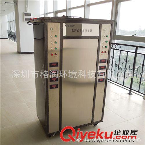 消毒滅菌器 廠家直銷電解式臭氧發(fā)生器 10克原始圖片2
