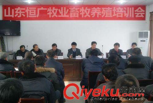 山東最有實力的波爾山羊基地  波爾山羊種羊場原始圖片3