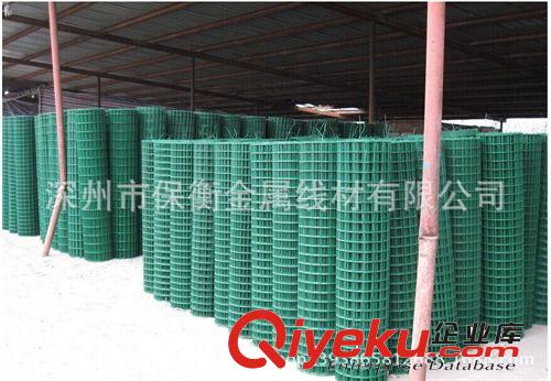 西安涂塑荷蘭網批發廠家原始圖片2