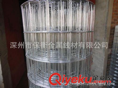 山東晾曬玉米鐵絲網(wǎng) 圈玉米電焊網(wǎng)生產(chǎn)廠家原始圖片2