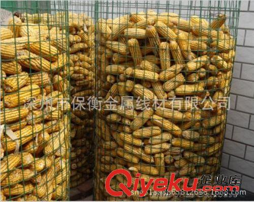 山東晾曬玉米鐵絲網(wǎng) 圈玉米電焊網(wǎng)生產(chǎn)廠家原始圖片3