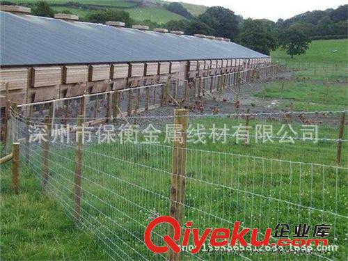 包頭牧場圍欄網工程采用牛欄網價格便宜!