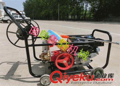 高射程噴藥打藥機(jī) 高壓泵打藥機(jī) 遠(yuǎn)射程噴藥機(jī)價(jià)格 02原始圖片3