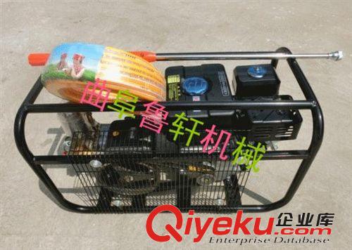青菜除蟲(chóng)打藥機(jī) 種植蔬菜噴藥機(jī) 方便高樹(shù)打藥機(jī)使用 02原始圖片3