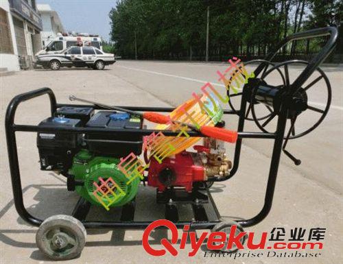 羊場用的除菌噴霧器  殺毒用的打藥噴霧器 手推式噴霧器02