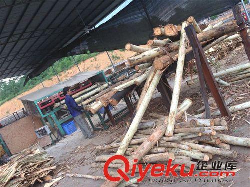 韶關產業基地生產加工定做 各類農用木柄 鐵鍬把柄木柄 木把桉木