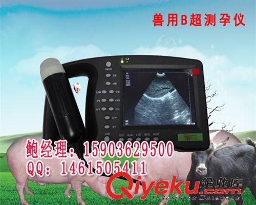 手持式動物B超高清黑白B超機促銷中