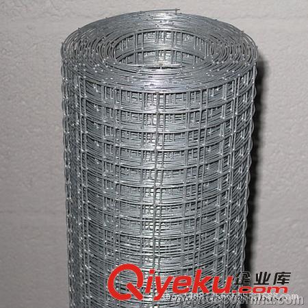 熱售不銹鋼電焊網(wǎng)  網(wǎng)片 zyjl原始圖片2