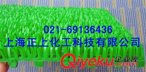 供應(yīng)家居休閑仿真草皮、室外園藝、桑拿景觀裝飾草皮