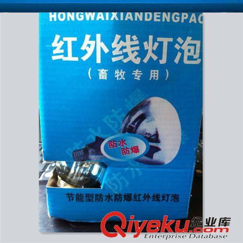 平面红外线灯泡 红外线取暖保温灯泡 浴霸灯泡 畜牧养殖灯具