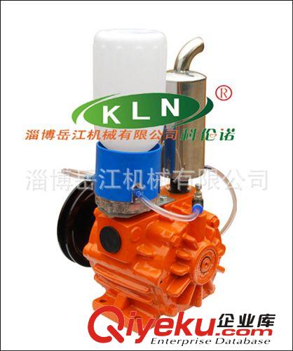 【廠家直銷高品質】XP2100擠奶機專用旋片式真空泵