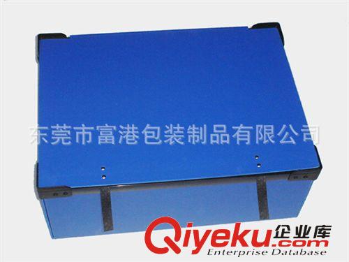 塑膠箱 系列 按客戶要求定做塑料中空板箱 各顏色中空板箱 環(huán)保中空板箱原始圖片2