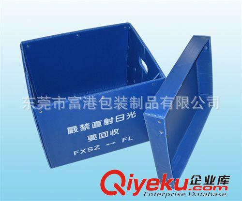 塑膠箱 系列 供應塑料中空板 塑膠中空板箱 可做任何款式中空板周轉箱原始圖片2