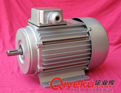 異步電動機 東莞電動機，YS(AO2)系列三相異步電動機