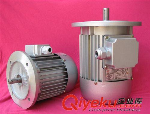 異步電動機 東莞電動機，YS(AO2)系列三相異步電動機