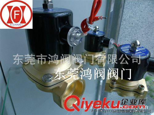 電磁閥、角座閥 二位二通電磁閥 黃銅/不銹鋼/鋅合金/尼龍原始圖片3