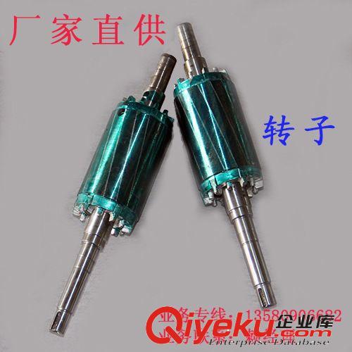 飛揚海龍水泵零配件 廠家供應  海龍牌水泵轉子/飛揚牌管道泵/飛揚海龍離心式水泵轉子