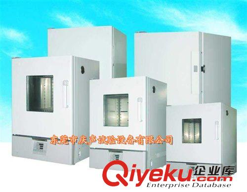 精密烘箱 廠家愛熱銷 電熱鼓風干烘箱 品質可靠原始圖片3