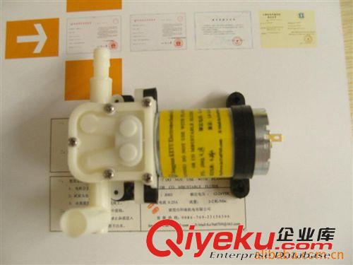 微型自吸泵 專業(yè)生產(chǎn)隔膜泵隨手泡加水泵 微電腦全自動(dòng)加水器水泵及配件原始圖片2
