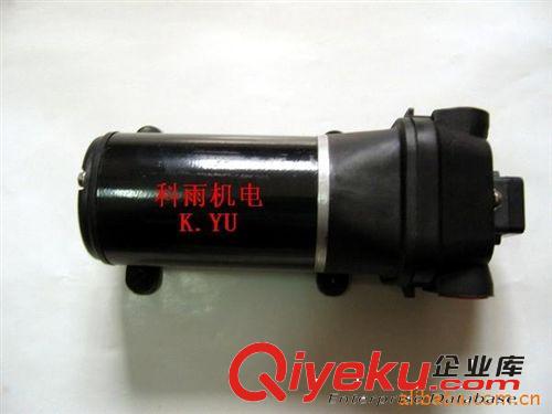 微型高壓泵 高壓洗車泵SWP-1740原始圖片2
