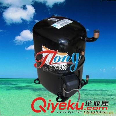 壓縮設備--空壓機 低溫壓縮機，試驗箱用壓縮機，法國泰康壓縮機1-6P原始圖片2