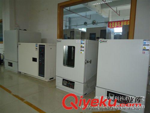  臥式精密烘箱 供應訂貨生產(chǎn)烘箱 精密烘箱 臥式烘箱 電熱烘箱 歡迎來電訂做！原始圖片3