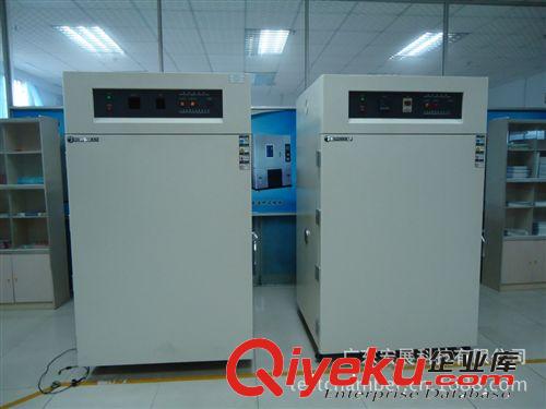  立式精密烘箱 廠家供應(yīng)恒溫箱 電熱恒溫箱 小型恒溫箱 恒溫干燥箱 歡迎咨詢！原始圖片3