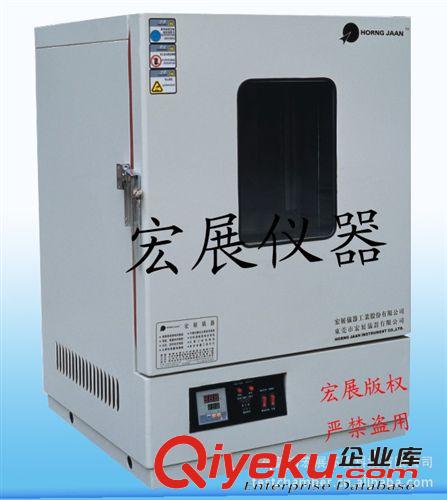 精密烘箱 專業(yè)生產(chǎn)干燥箱 真空干燥箱烤箱烘箱電熱鼓風(fēng)干燥箱恒溫干燥箱
