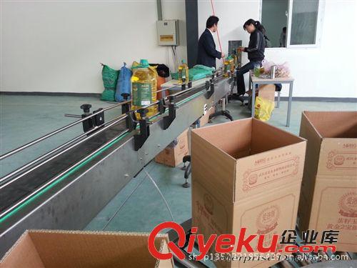 裝箱機系列 供應口服液自動裝箱機 東莞瓶類裝箱機原始圖片2
