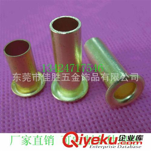 雞眼系列 廠(chǎng)家直銷(xiāo)環(huán)保銅長(zhǎng)空心釘  品質(zhì)保證 免費(fèi)提供庫(kù)存樣品原始圖片2