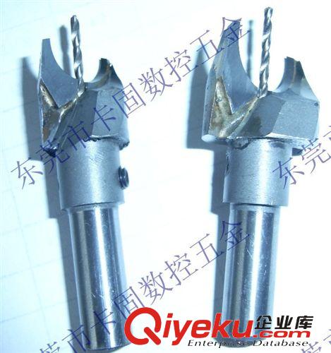 木工刀具 12mm佛塔刀 鉆床臺鉆佛頭刀 定做非標佛珠刀具 硬質(zhì)合金佛塔刀原始圖片3