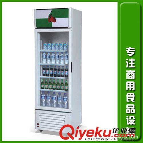冷藏冷凍柜系列 供應(yīng)冷柜  超市冰柜 冷柜設(shè)備 冷柜批發(fā)原始圖片3