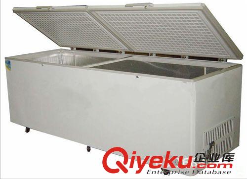 冷藏冷凍柜系列 冷凍柜 大型冷凍柜 超市冷凍柜 商用冷凍柜 冷凍設備原始圖片2