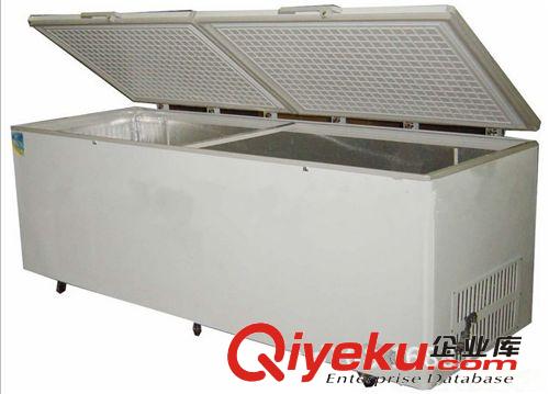 冷藏冷凍柜系列 冷凍柜 大型冷凍柜 超市冷凍柜 商用冷凍柜 冷凍設備原始圖片3
