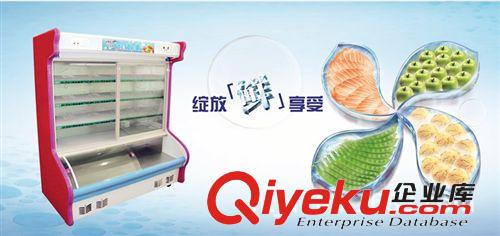 冷藏冷凍柜系列 點(diǎn)菜柜 雙溫點(diǎn)菜柜 大型點(diǎn)菜柜 進(jìn)口點(diǎn)菜柜 點(diǎn)菜柜 全國(guó)聯(lián)保原始圖片2