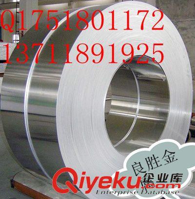 不銹鋼帶，不銹鋼片，不銹鋼線 X108CrMo17 1.3953 不繡軸承鋼