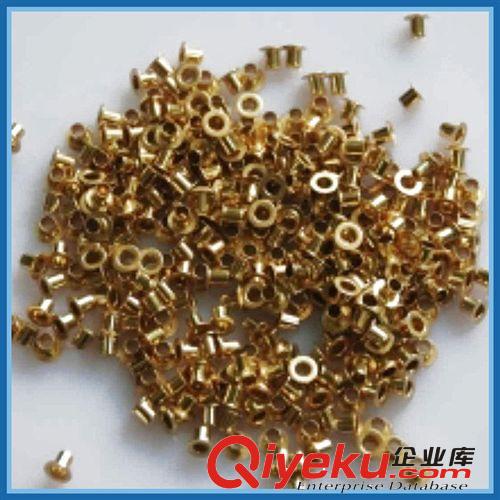 定位釘系列 廠家專業(yè)生產(chǎn)瑞士機(jī)用鉚釘 自動(dòng)機(jī)鉚釘