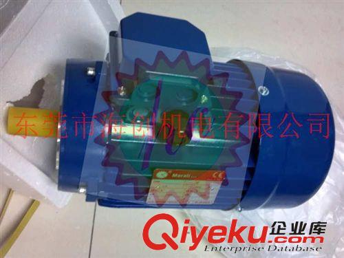 進口{gx}節(jié)能電動機 意大利{gx}節(jié)能電機 高溫馬達 進口電動機 高防護靜音電機馬達原始圖片3