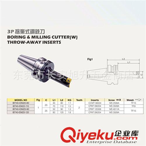 CNC機(jī)專用刀柄系列 專業(yè)銷售臺灣益鋌BT30/BT40刀柄，刀頭。刀把3刃舍棄式鉆銑刀刀柄