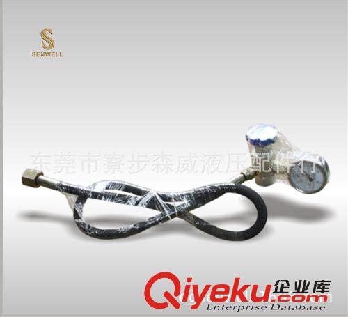 液壓蓄能器 供應東莞液壓皮囊式蓄能器CQJ型充氣工具原始圖片2